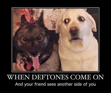 deftones jokes.